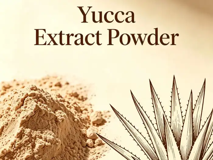 Why Yucca Extract Powder Is A Game-Changer in Animal Nutrition